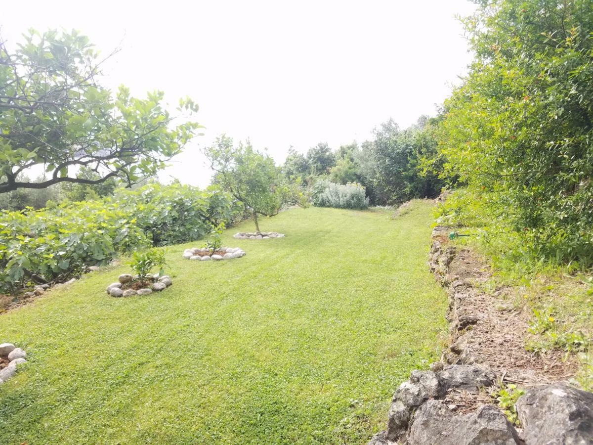 מולונאט Marivo Guest House מראה חיצוני תמונה