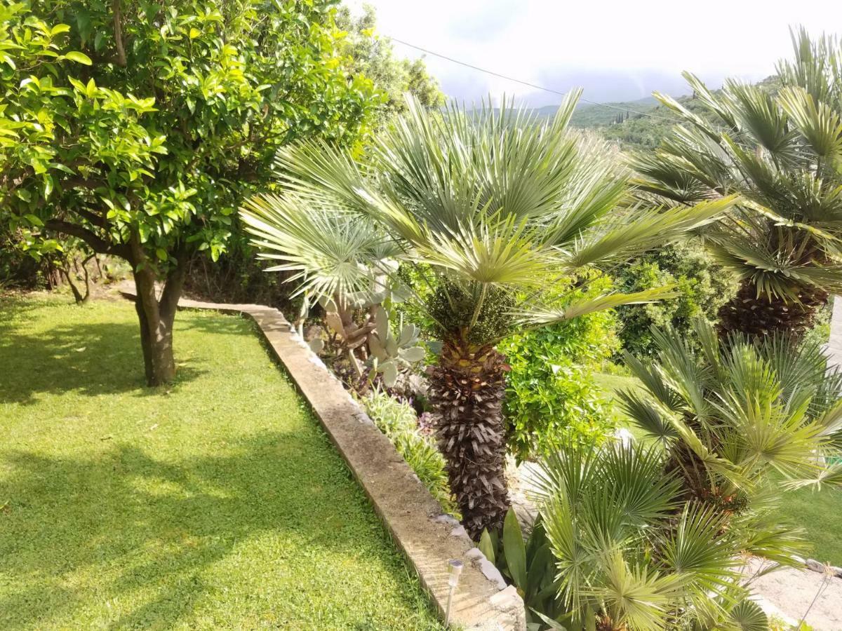 מולונאט Marivo Guest House מראה חיצוני תמונה